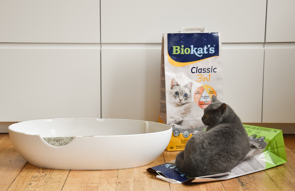Bio kat’s > Classic 3 in 1 | GIMBORN