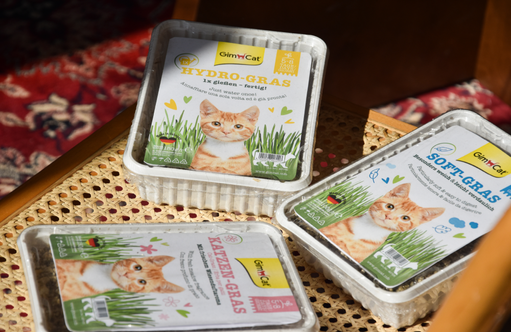 Gim Cat > Katzengras | GIMBORN